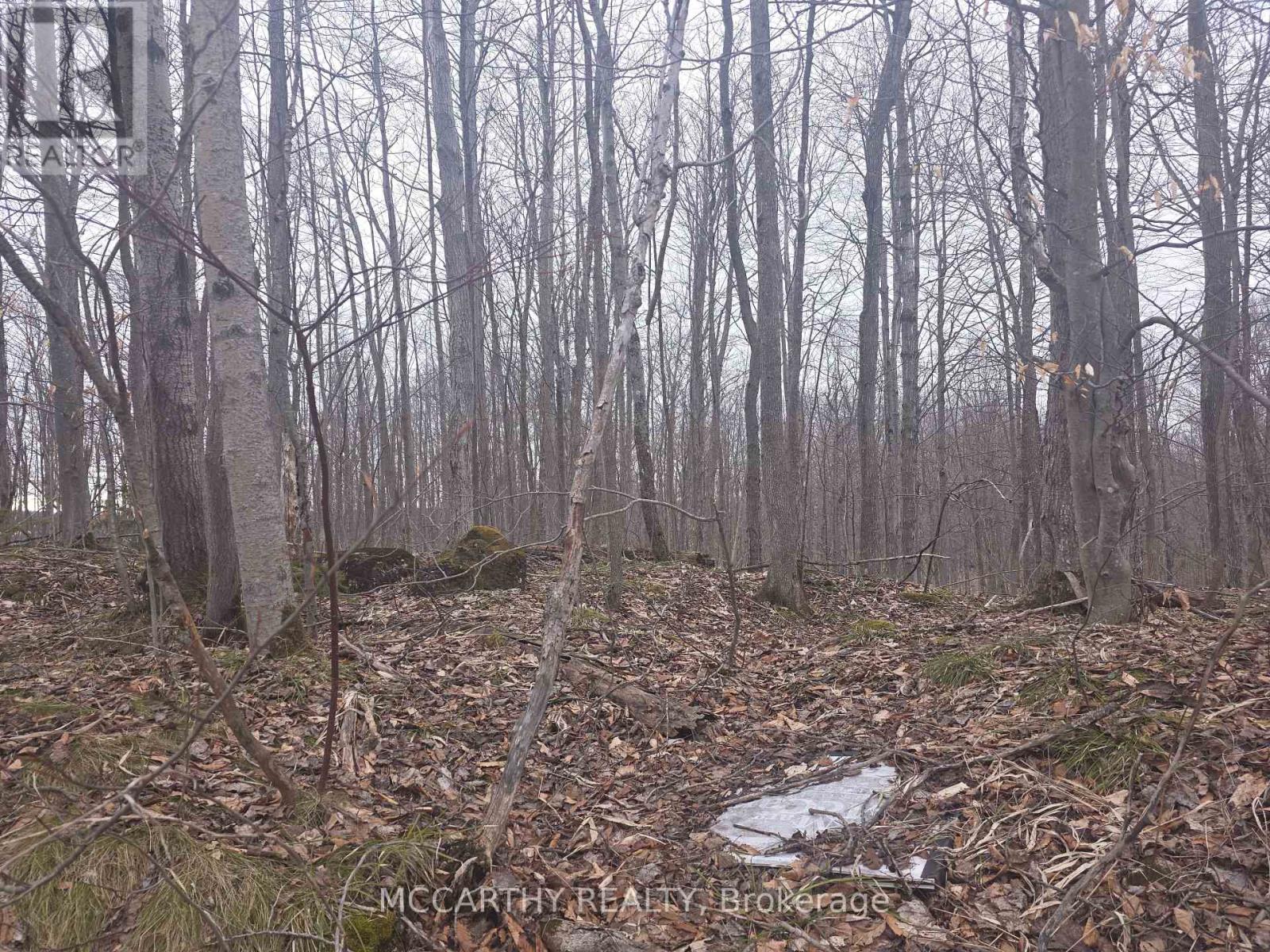 Photo 17 of Lot 9 Pt Lt 25 Con Rd 8, West Grey ON