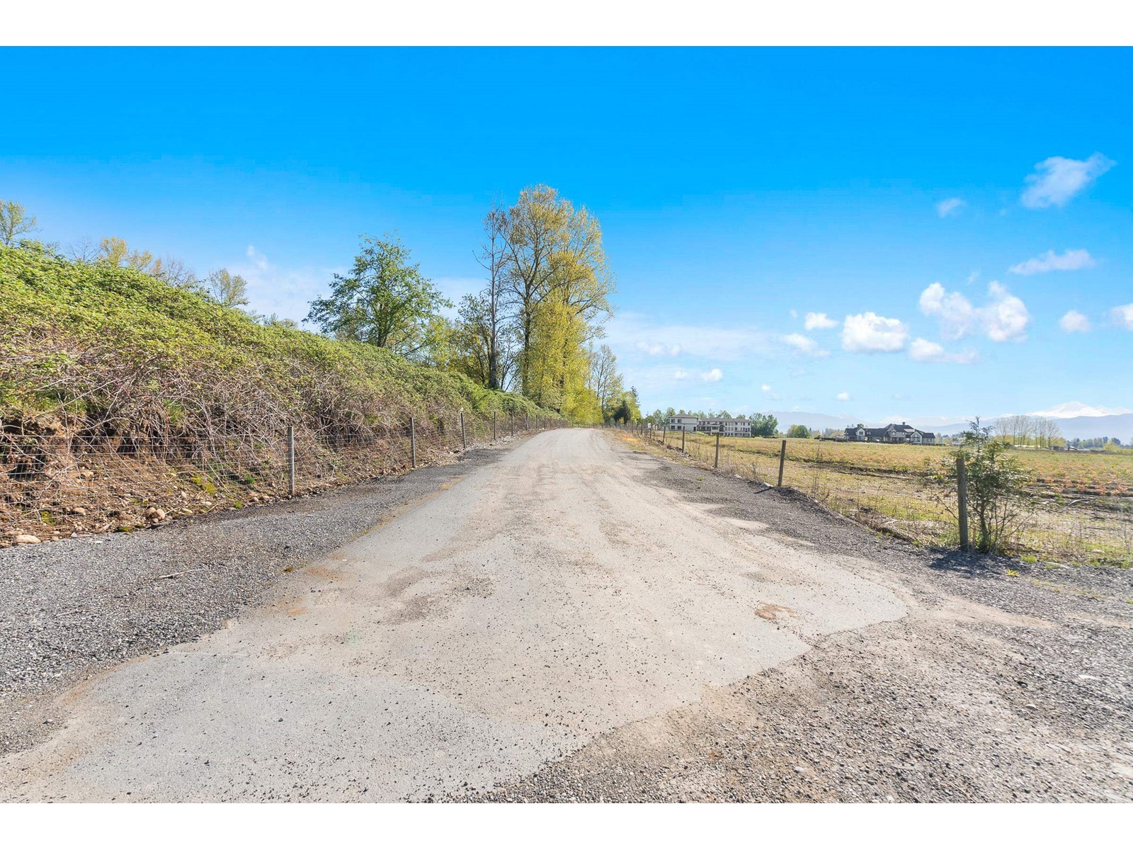 Photo 18 of 27890 Montesina Avenue, Abbotsford BC