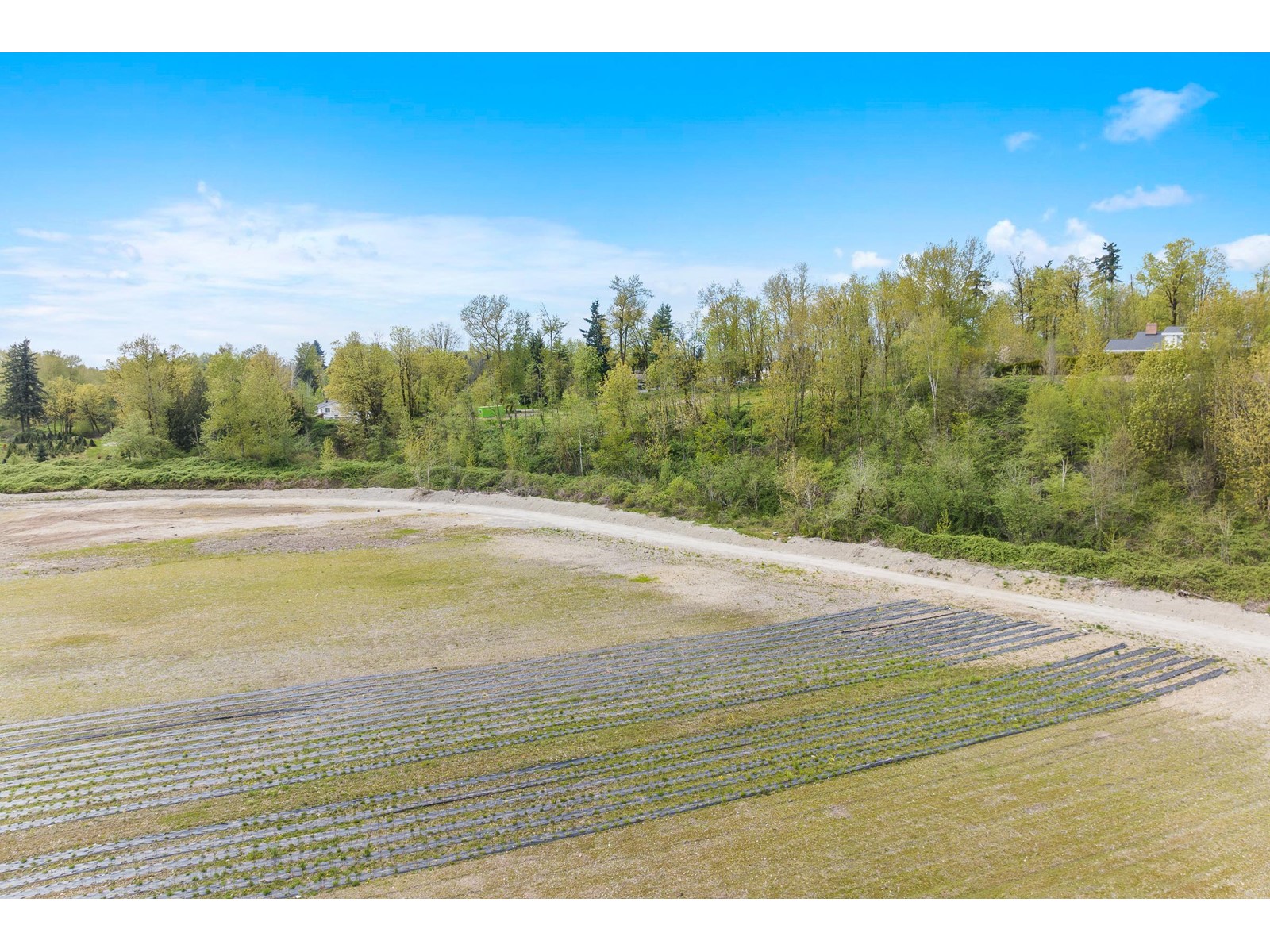 Photo 15 of 27890 Montesina Avenue, Abbotsford BC