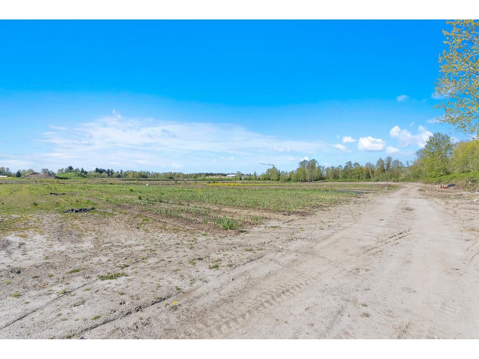 Photo 20 of 27890 Montesina Avenue, Abbotsford BC