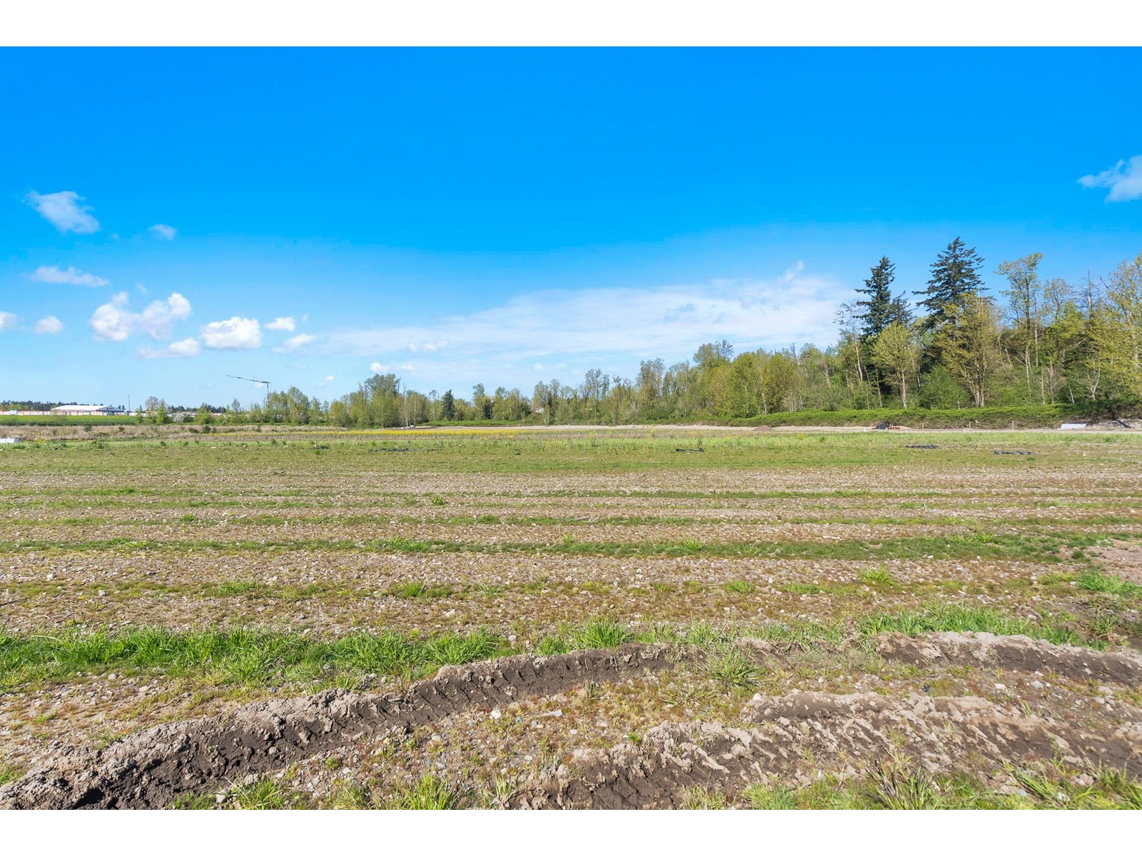 Photo 22 of 27890 Montesina Avenue, Abbotsford BC