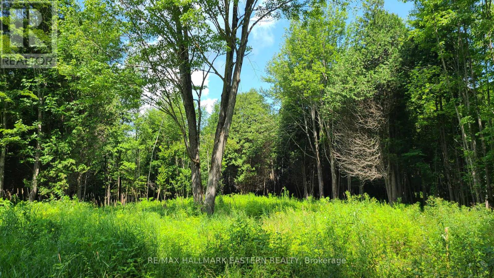 Photo 9 of N A Keating Road N, Havelockbelmontmethuen ON