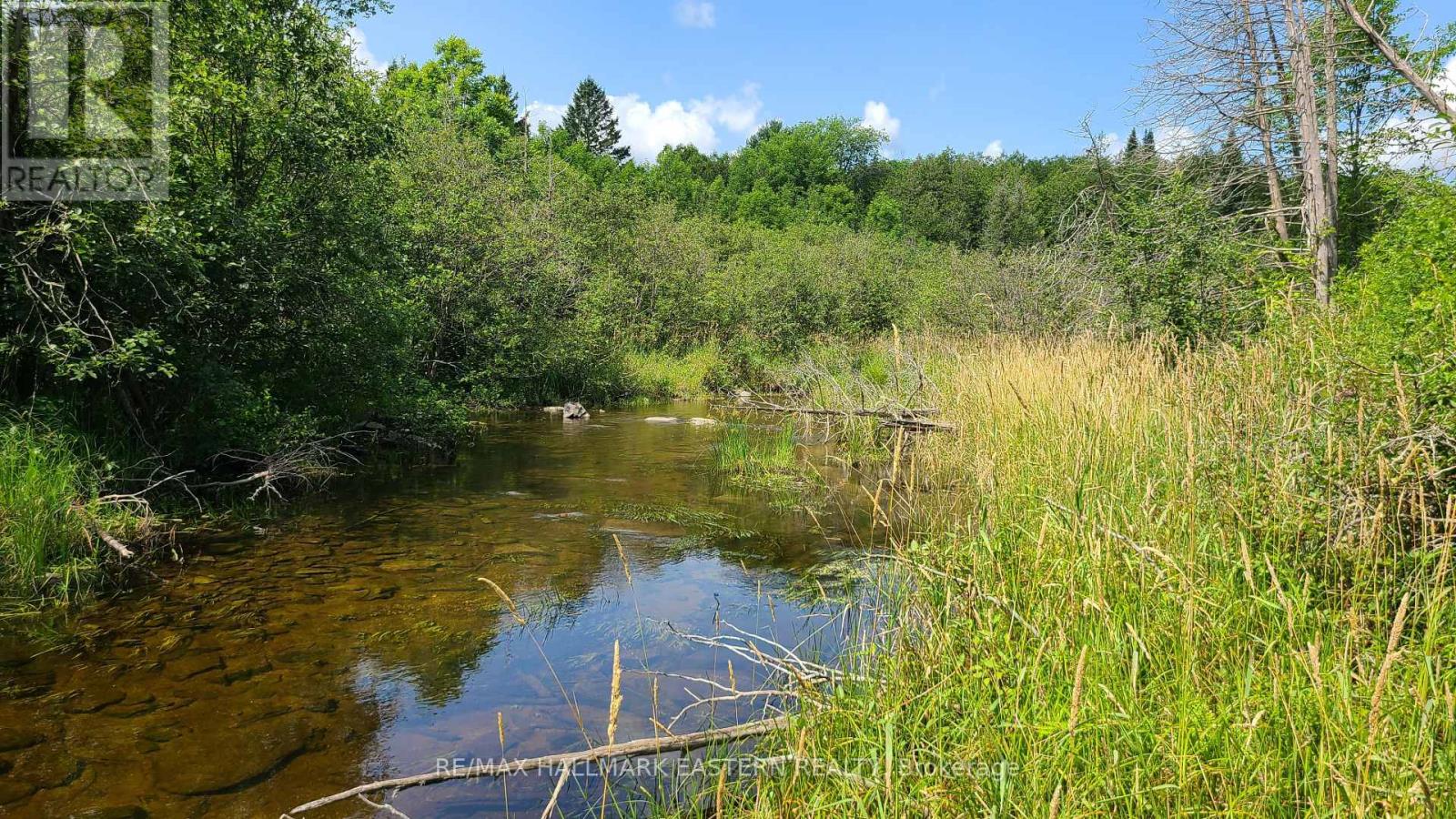 Photo 13 of N A Keating Road N, Havelockbelmontmethuen ON