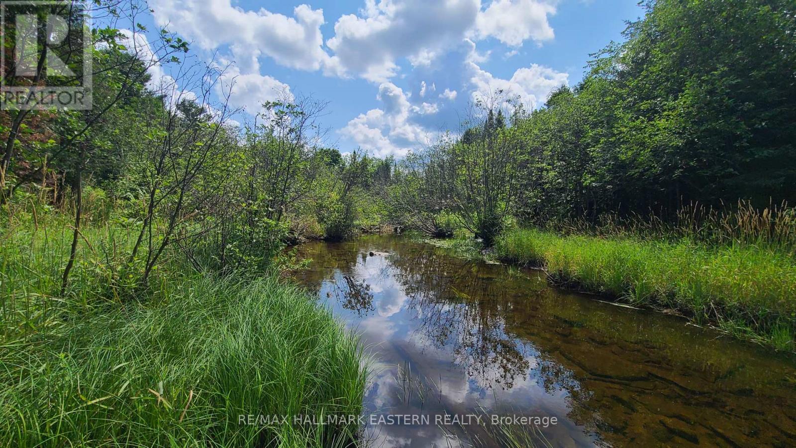 Photo 5 of N A Keating Road N, Havelockbelmontmethuen ON