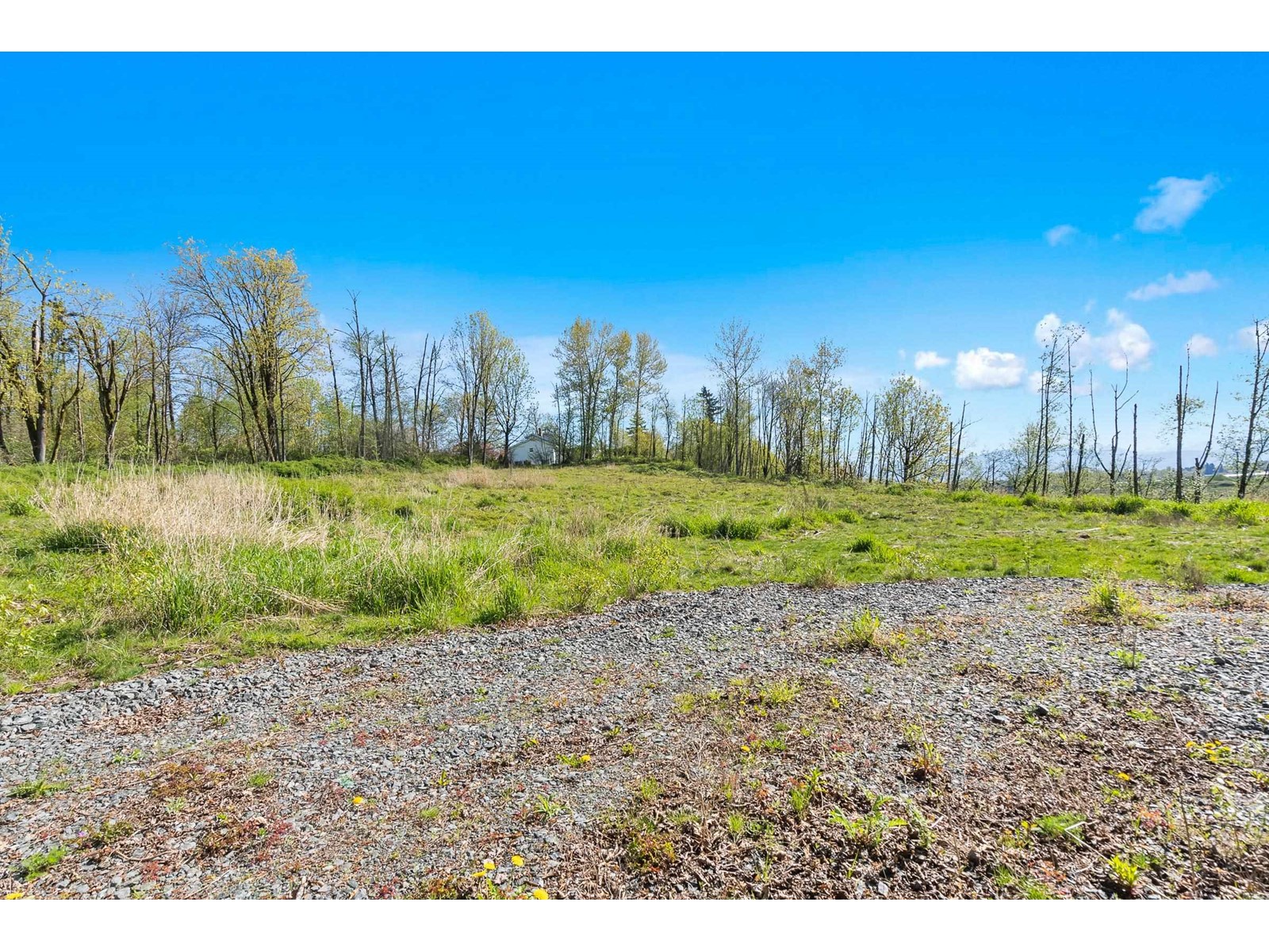 27890 MONTESINA AVENUE, Abbotsford