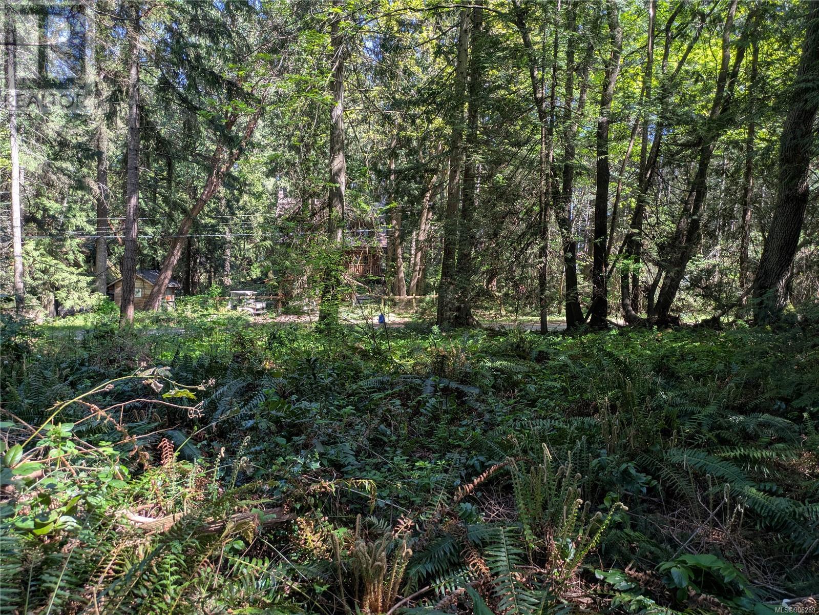 Cleared area with view to road