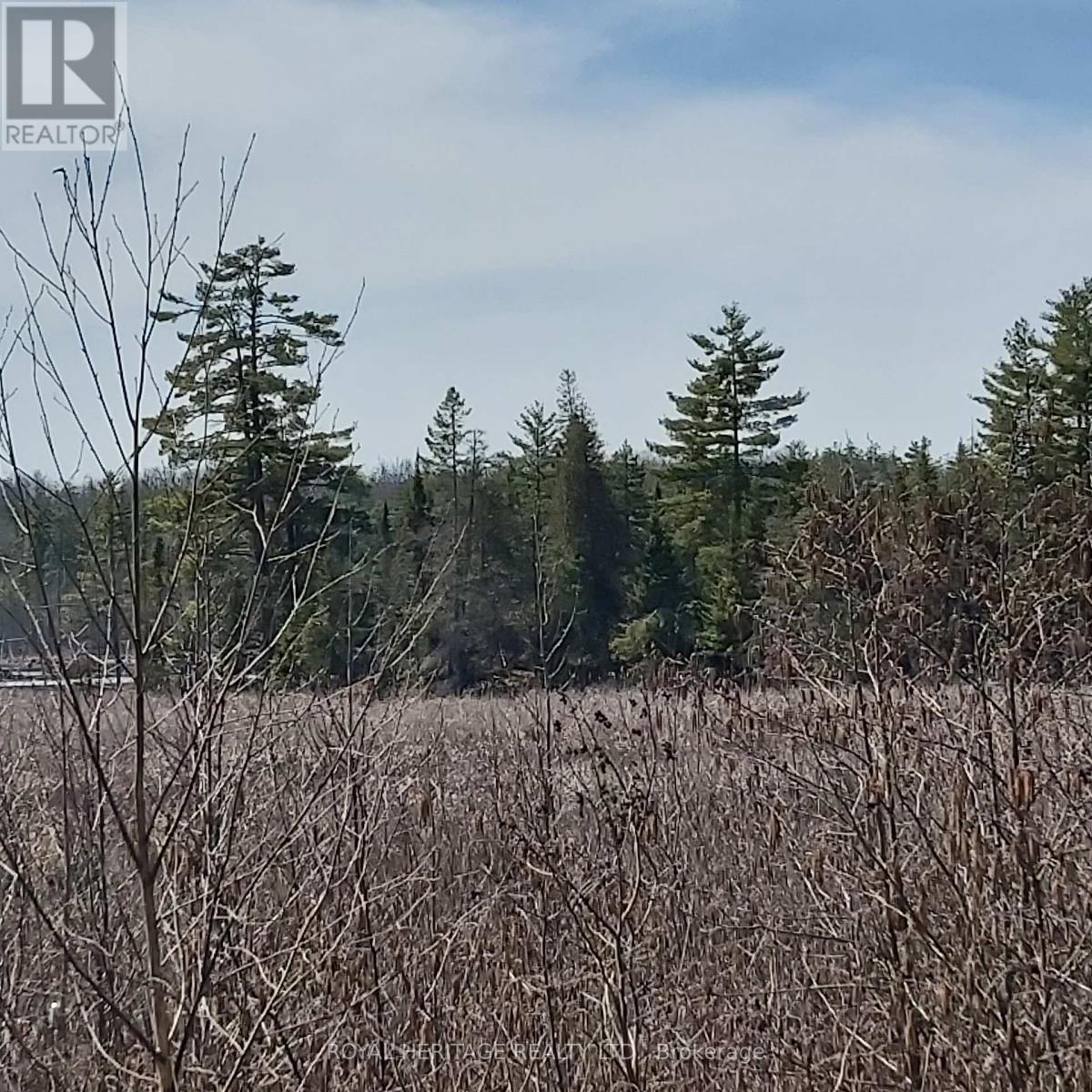 Photo 3 of 00 Bass Lake Road N, Trent Lakes ON