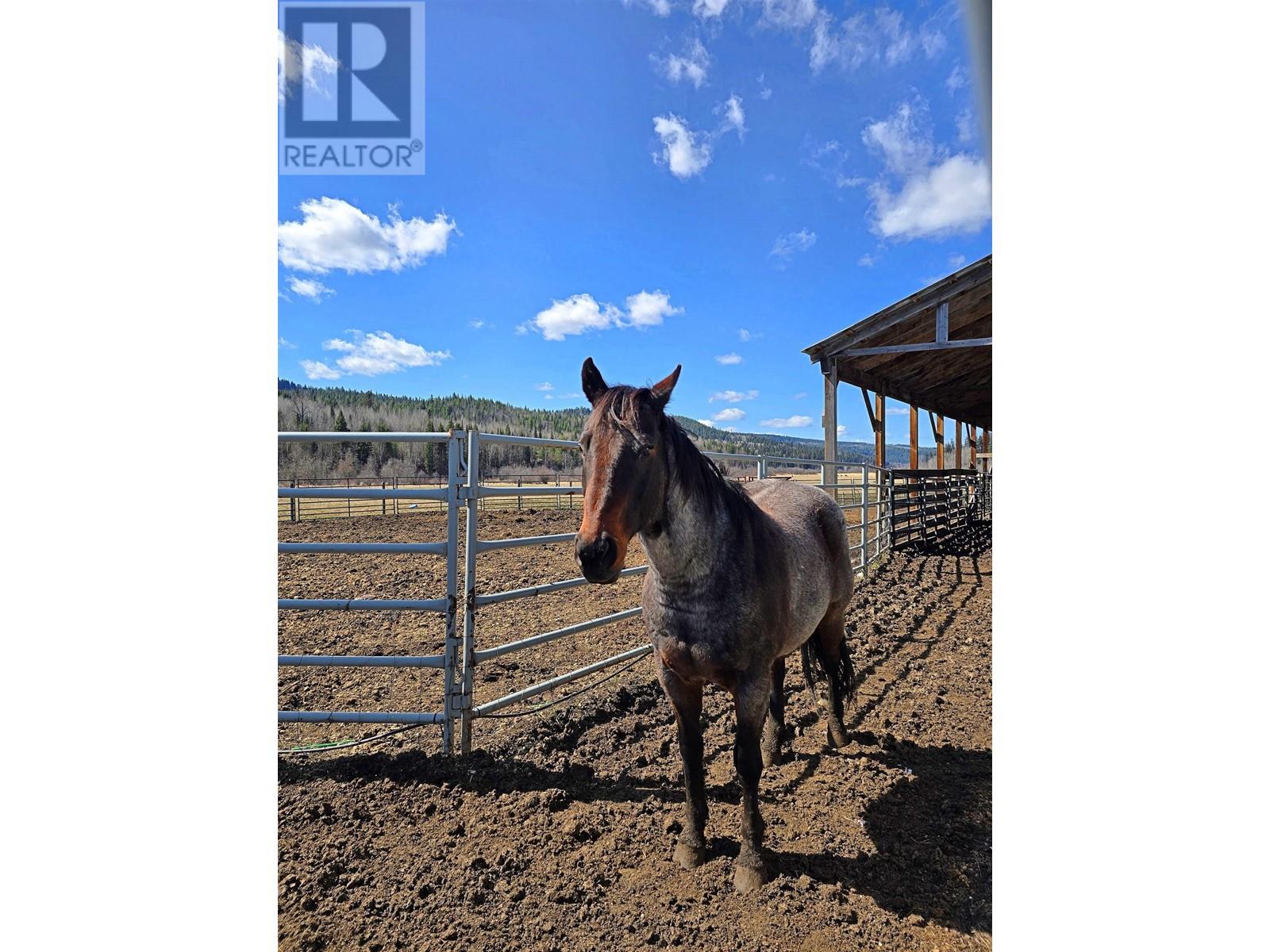 3736 BEAVER VALLEY ROAD, Williams Lake