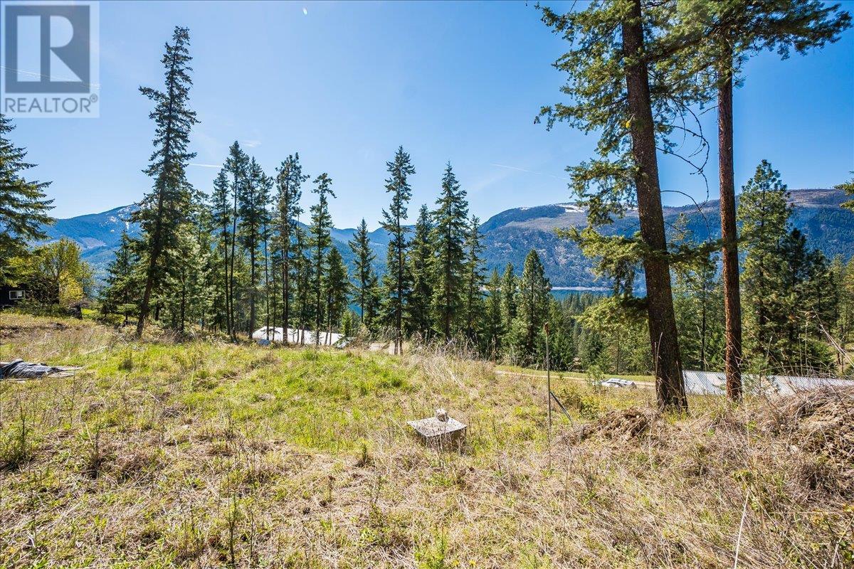 7465 Broadwater Road, Castlegar