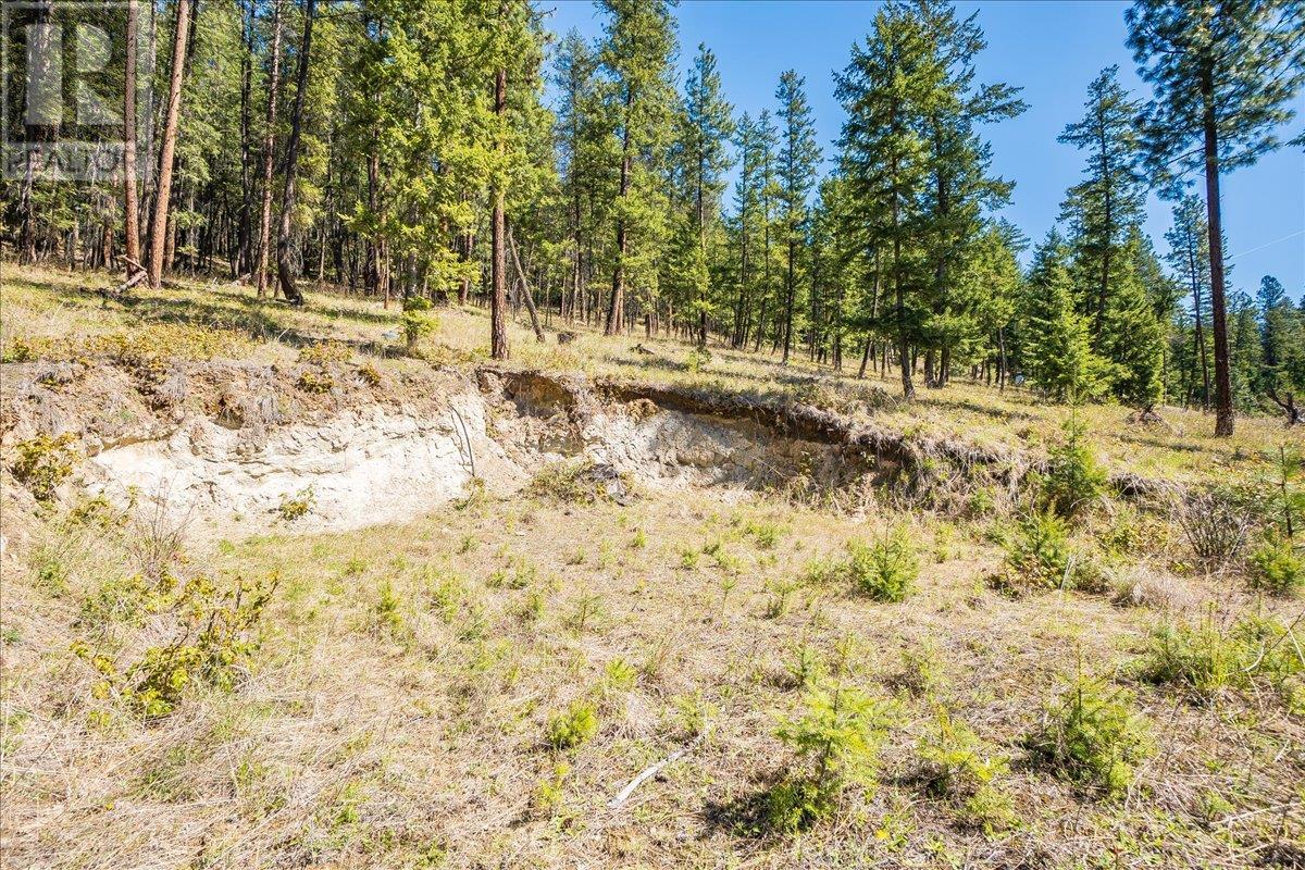 7465 Broadwater Road, Castlegar