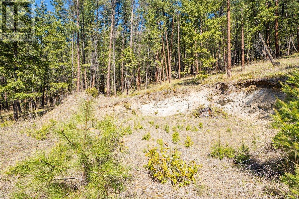 7465 Broadwater Road, Castlegar
