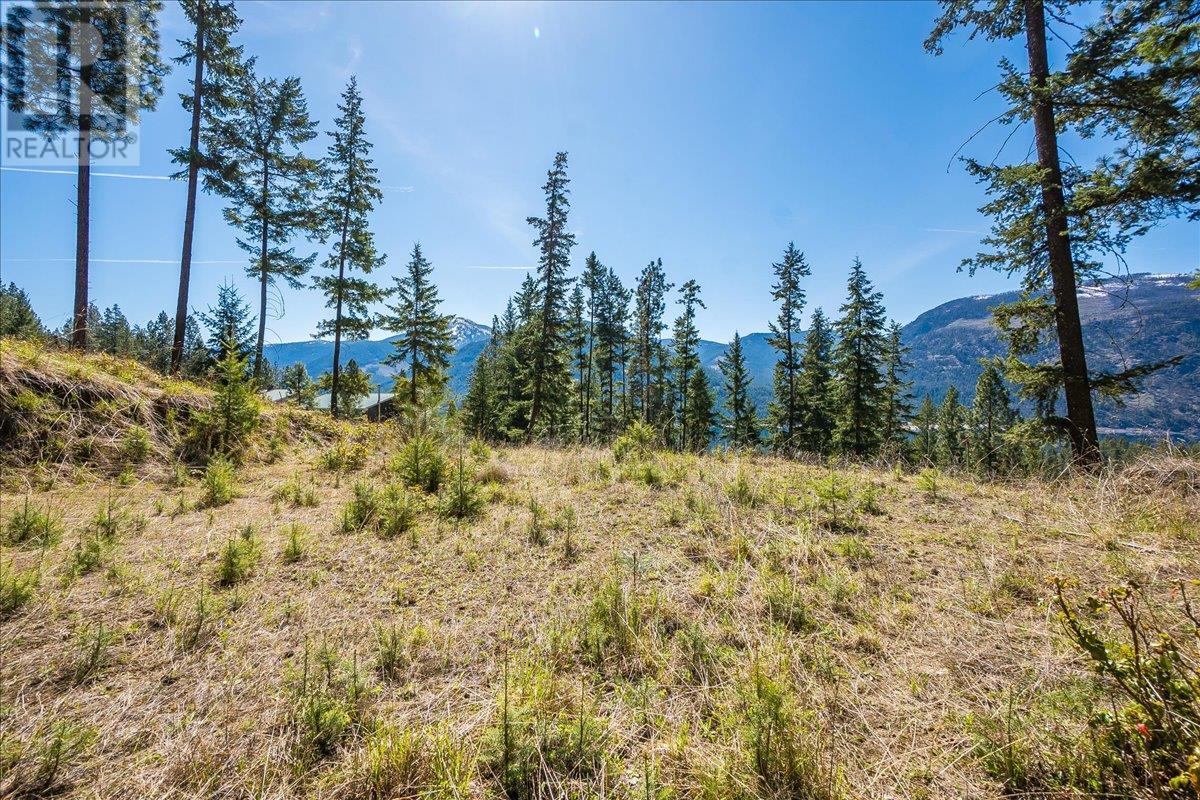 7465 Broadwater Road, Castlegar