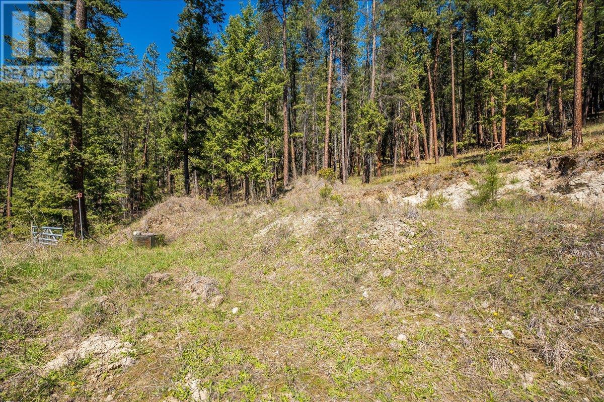7465 Broadwater Road, Castlegar
