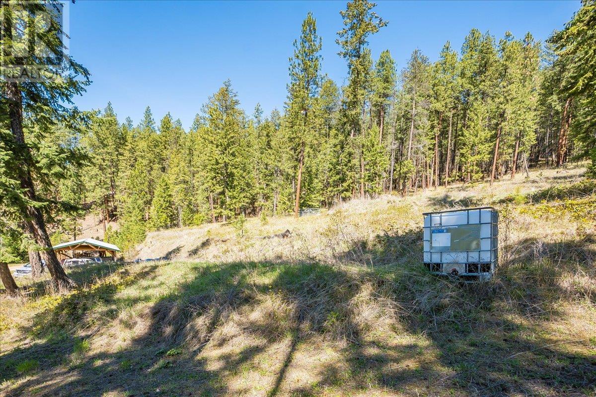 7465 Broadwater Road, Castlegar
