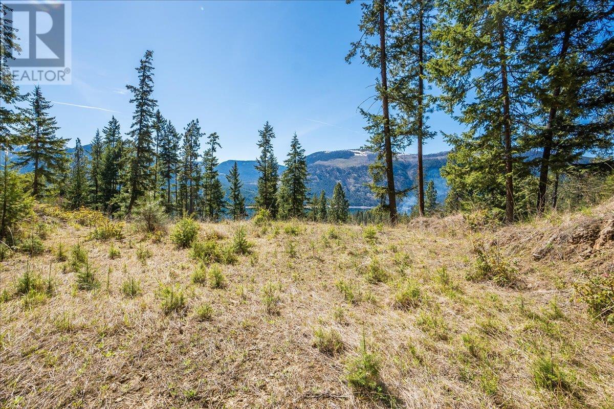 7465 Broadwater Road, Castlegar