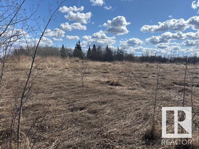 Photo 3 of 2103 Ellerslie Rd Sw, Edmonton AB