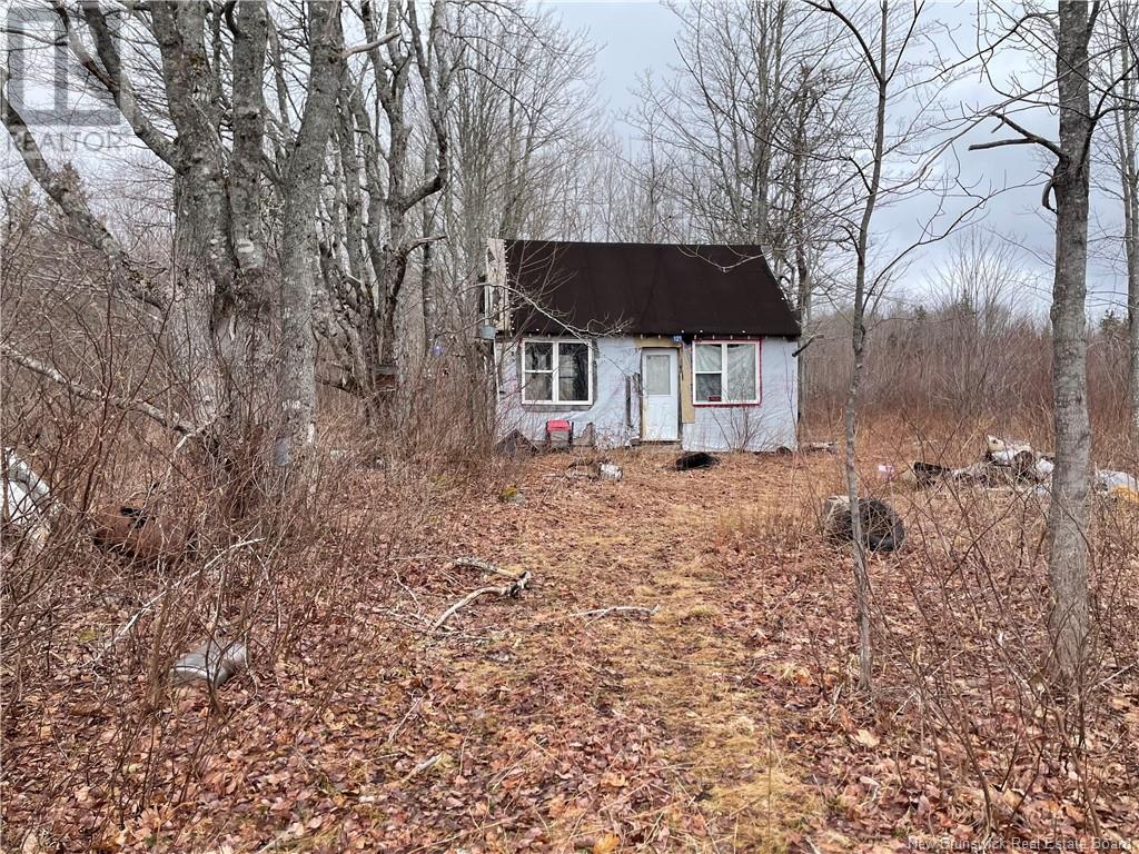 Photo 2 of Lot Chemin Saint Irenee, Girouardville NB