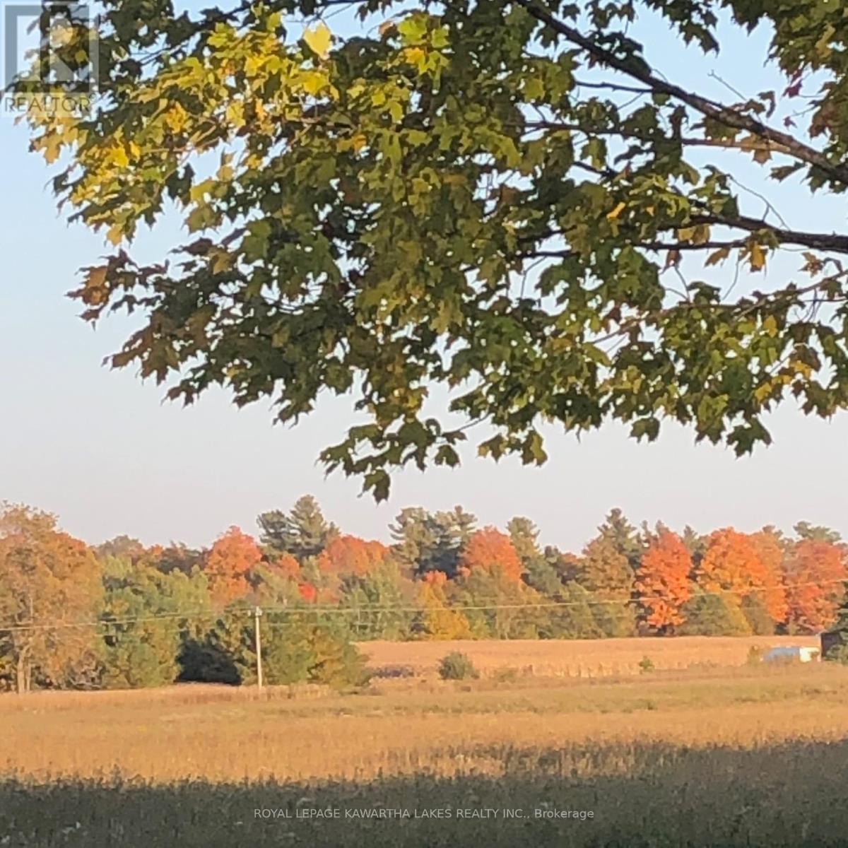 Photo 41 of 2960 Bradburn Road, Scugog ON