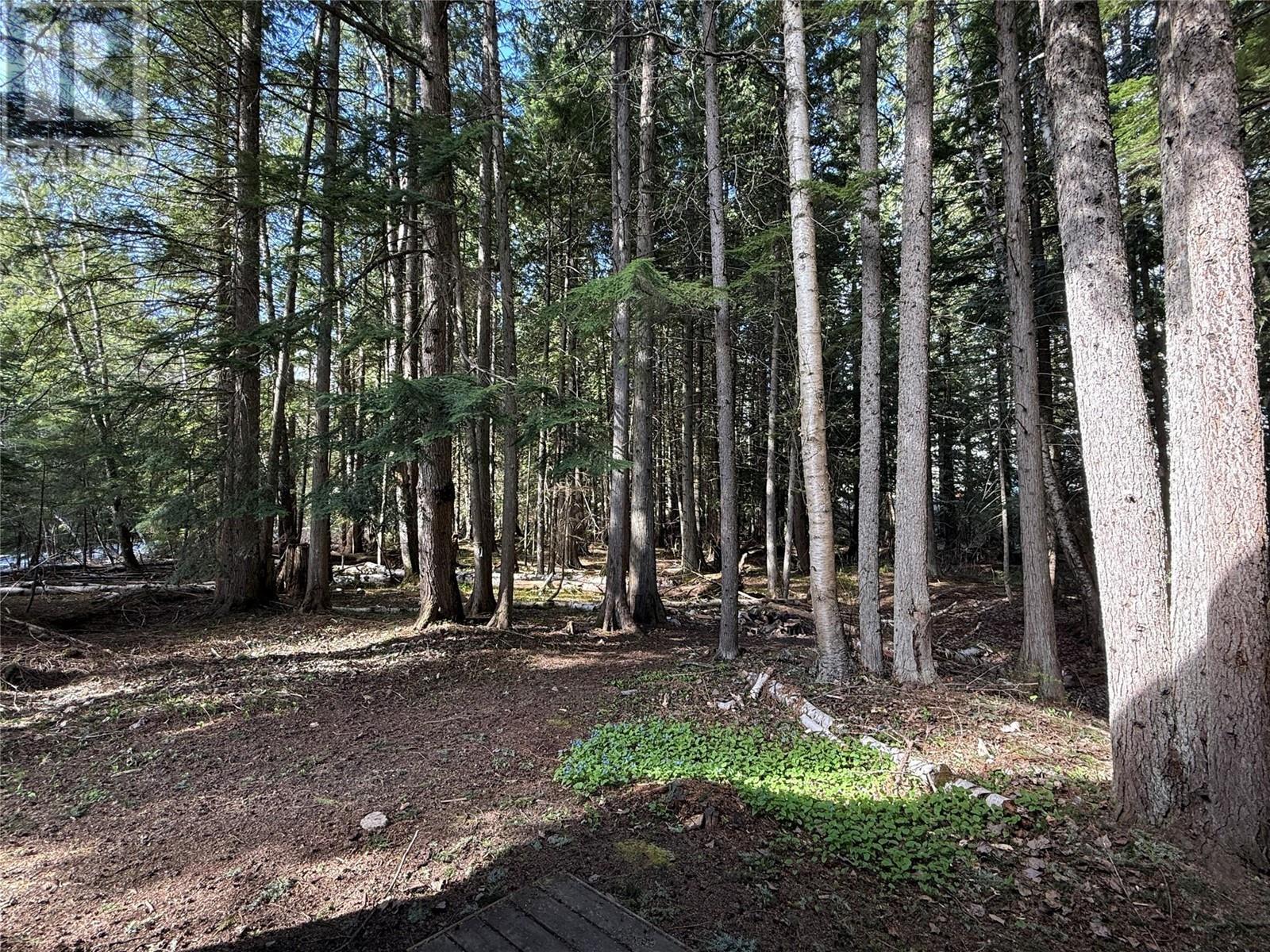 3014 Mcinnes Road, Revelstoke