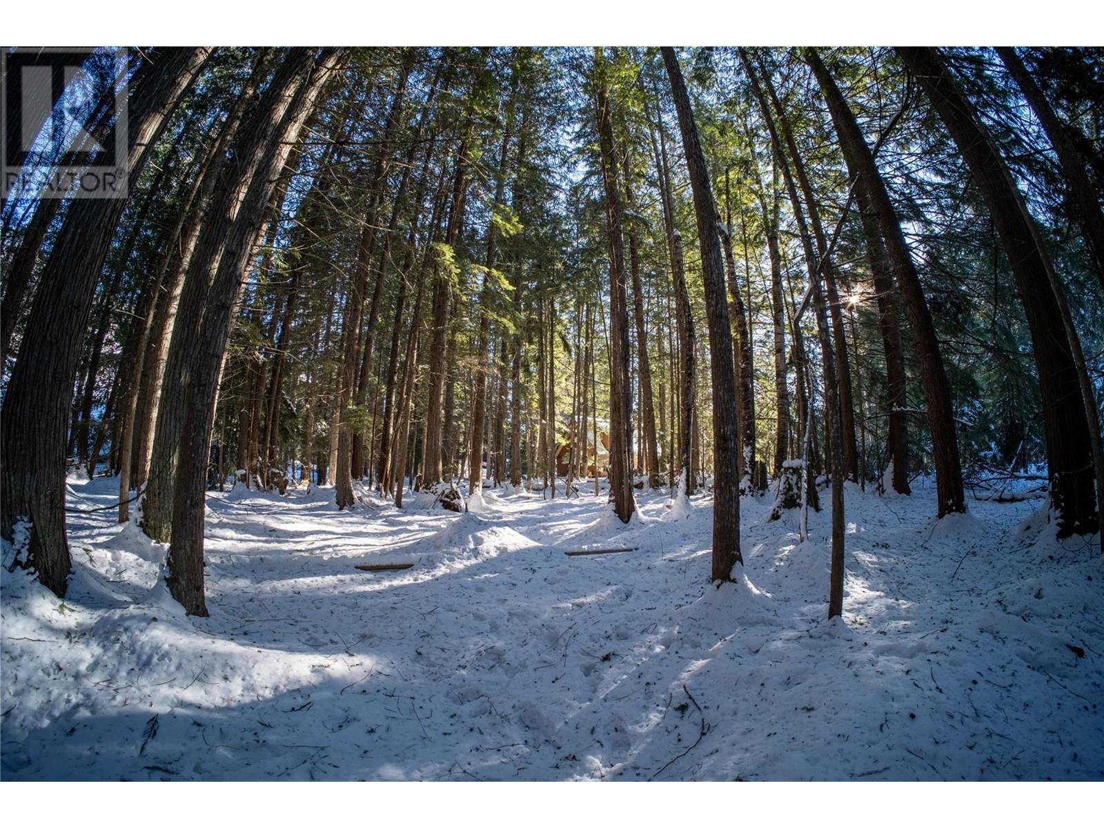 3014 Mcinnes Road, Revelstoke