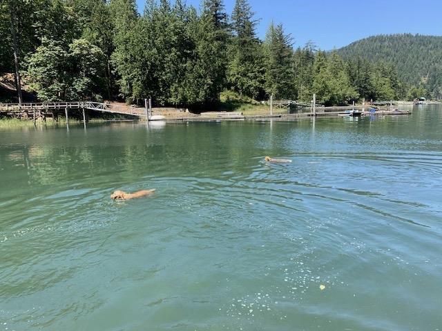 LOT 3 HARRISON RIVER, Mt Woodside, Harrison Hot Springs