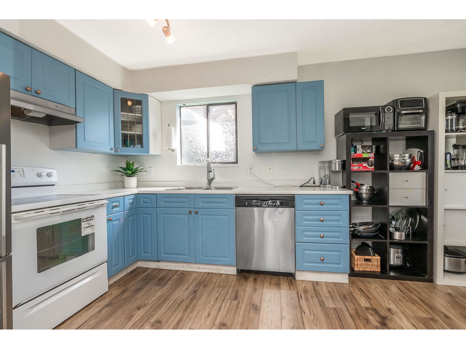 19883 53 AVENUE, Langley real estate listing R2983012