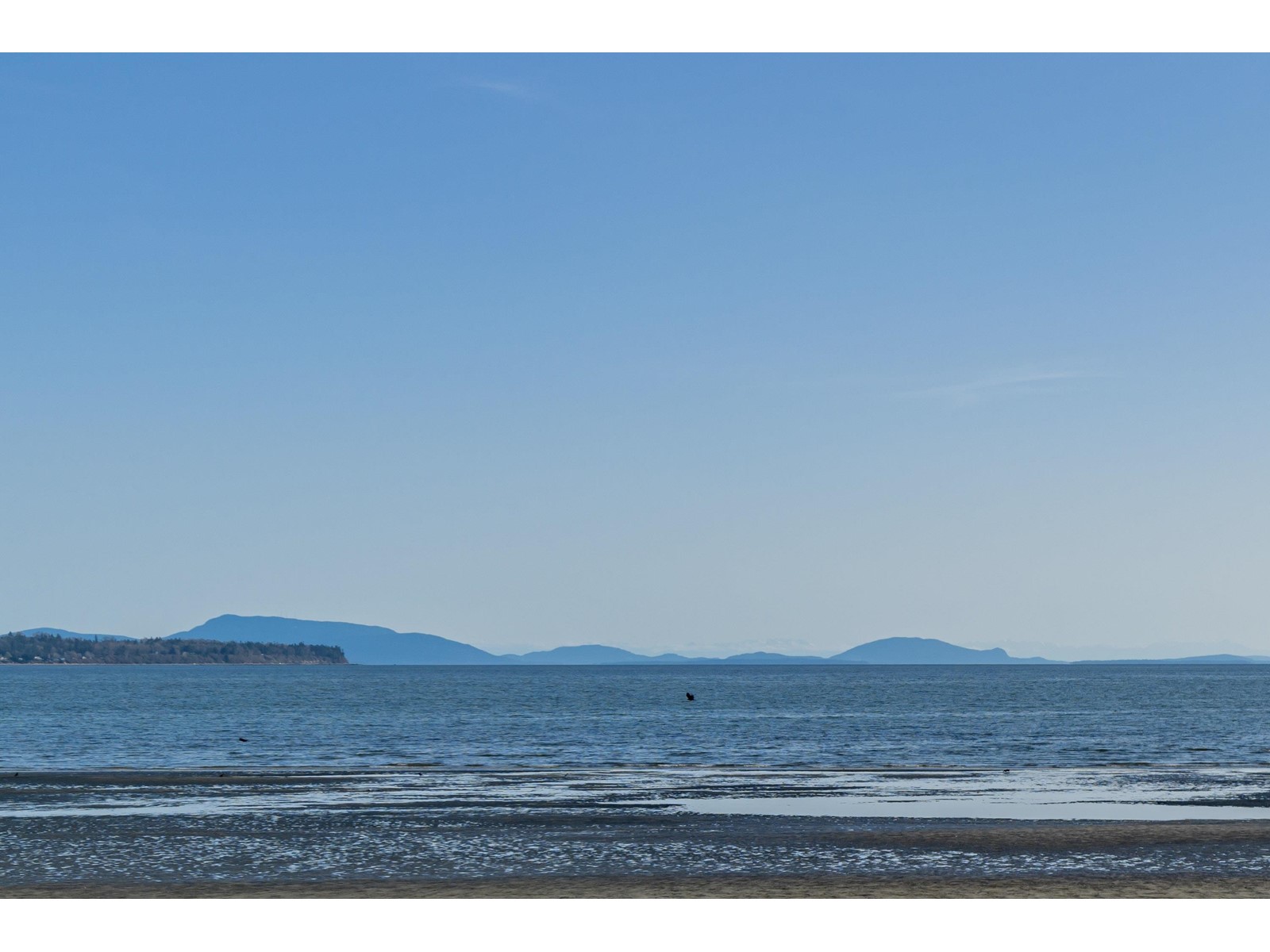 Photo 33 of 203 1160 Oxford Street, White Rock BC