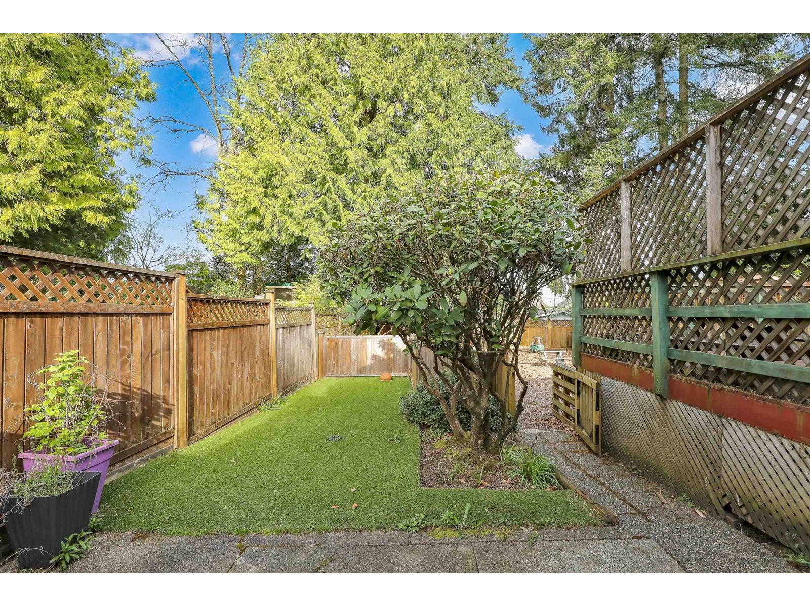Photo 15 of 1554 Stevens Street, White Rock BC