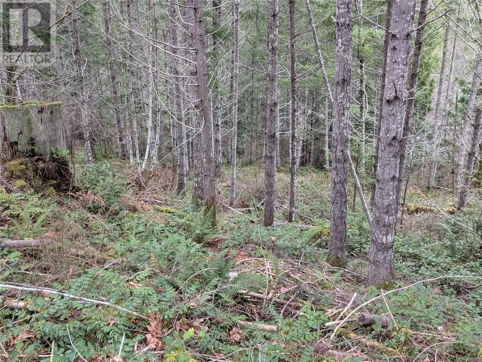 Photo 12 of 1725 Warn Way, Qualicum Beach BC