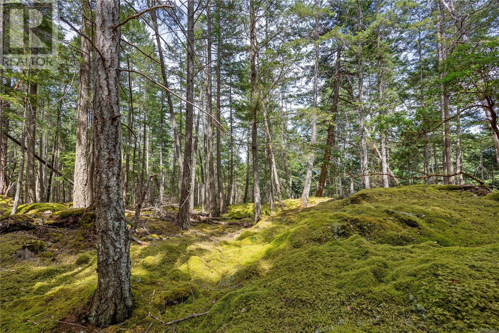 10 Windham Rd, Lasqueti Island
