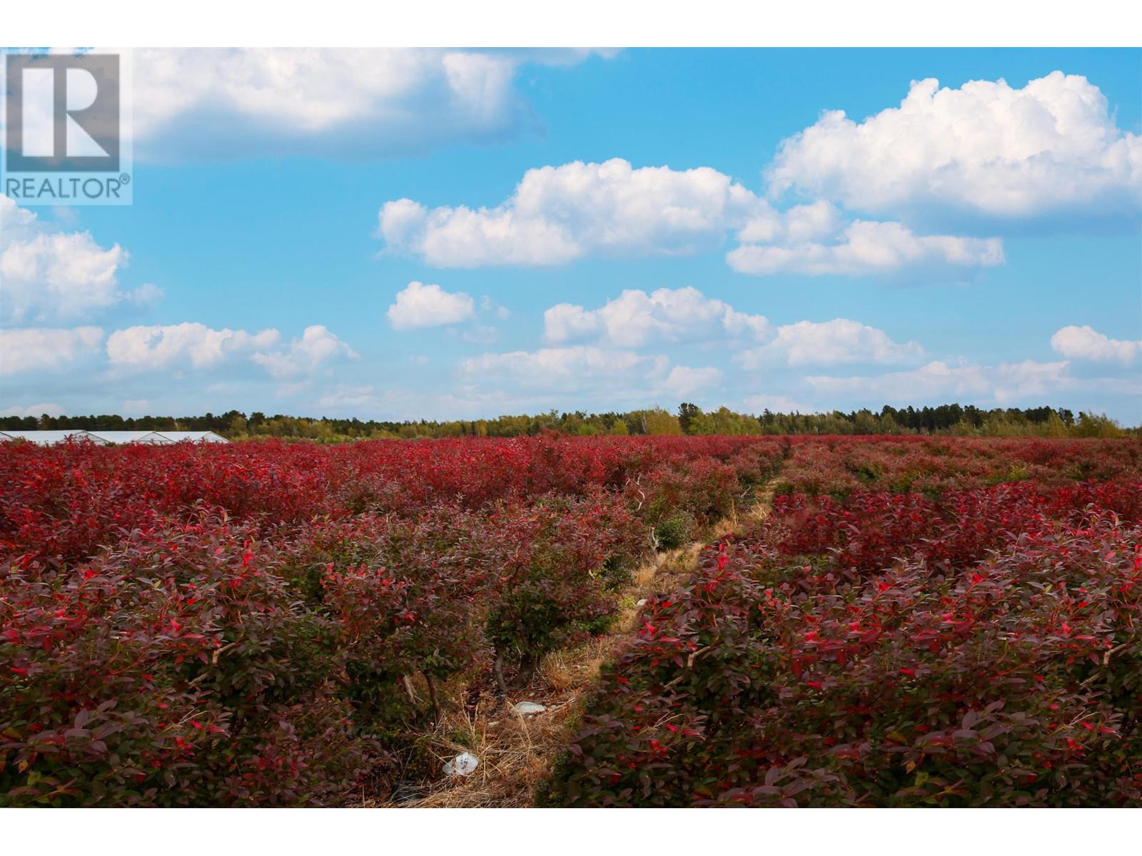 9420 NO. 6 Road, Richmond