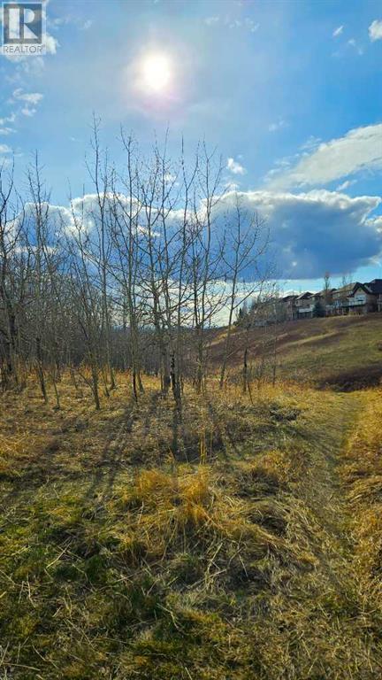 Single Family House for Sale in  Tuscany Estates Crescent NW Tuscany Calgary 