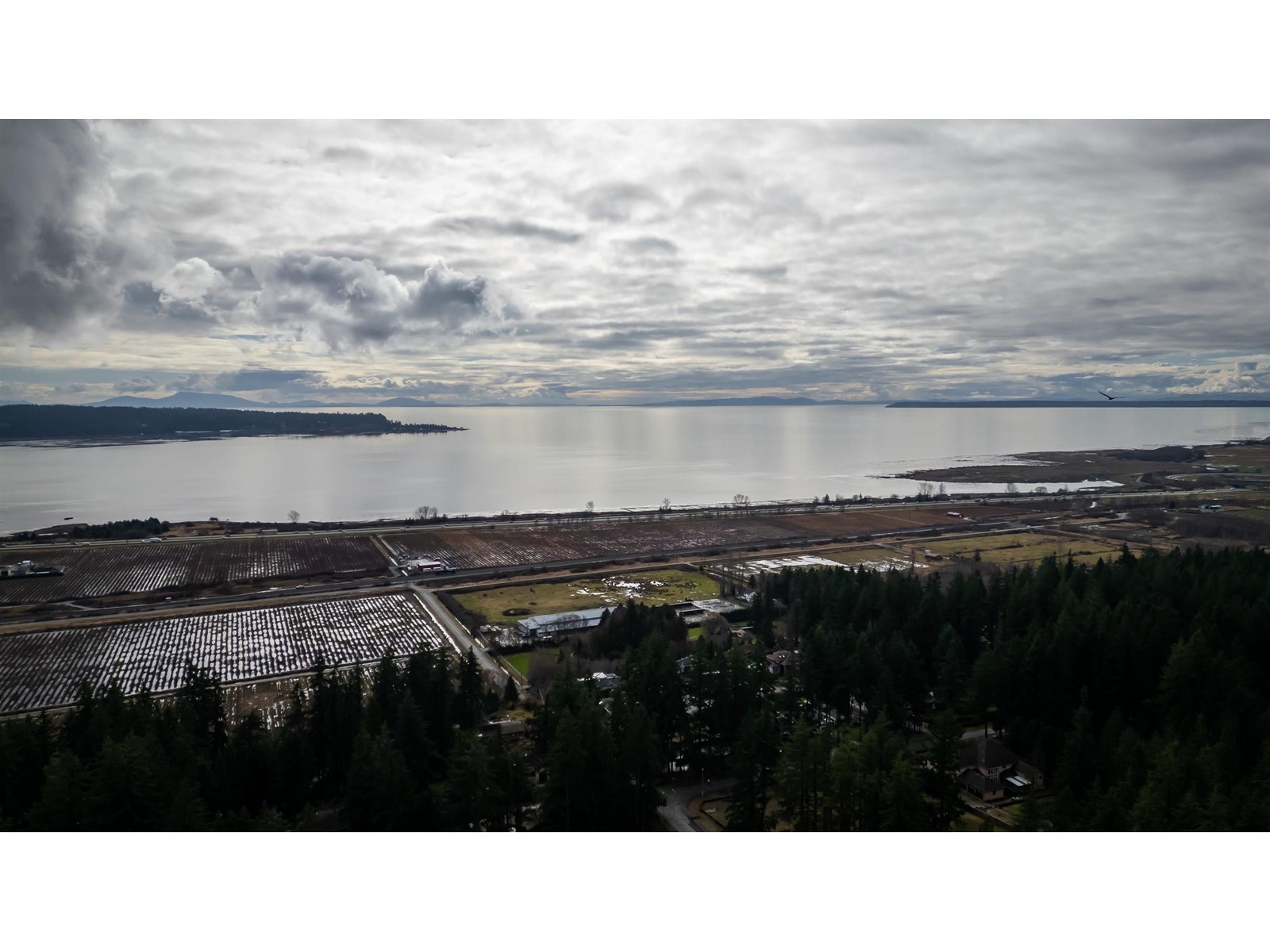 Photo 3 of Lot 2 12646 54 Avenue, Surrey BC
