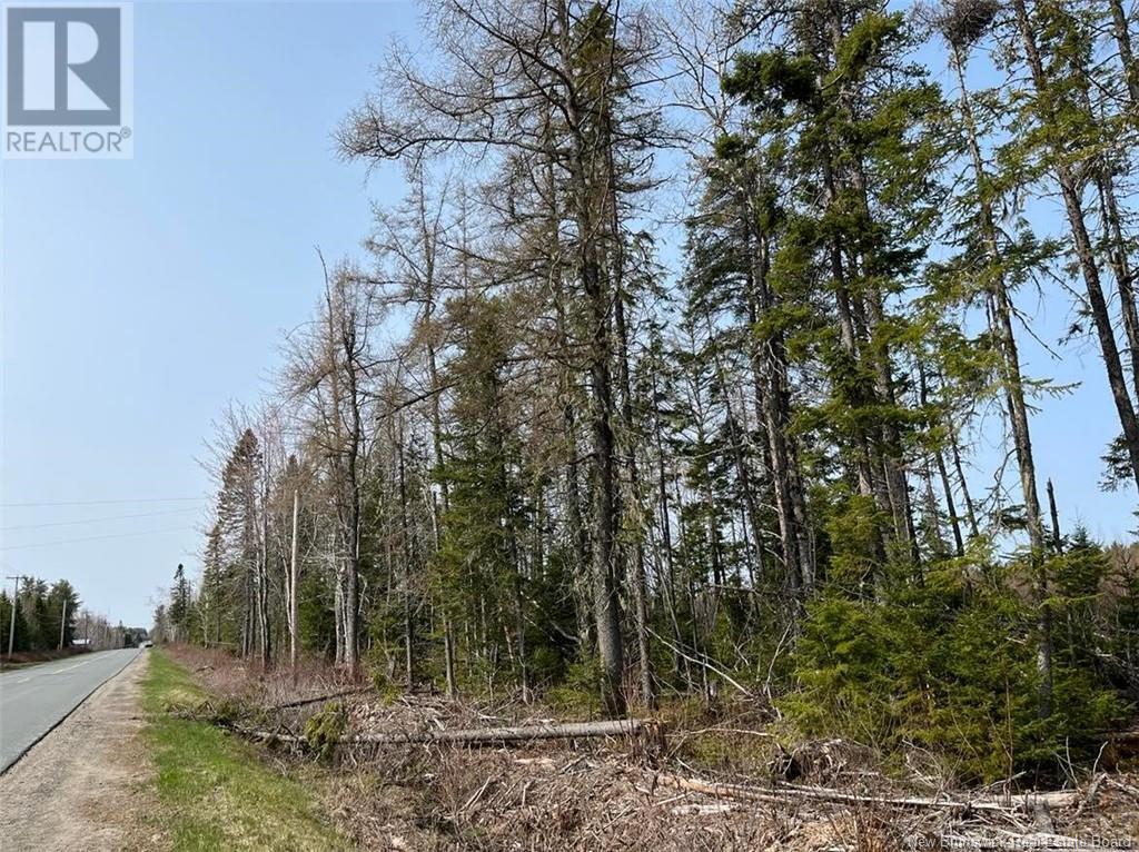 Photo 2 of Lot 01 Beaverbrook Road, Miramichi NB