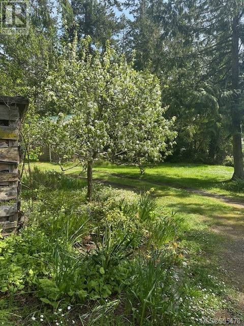 79 Brown Rd - 29