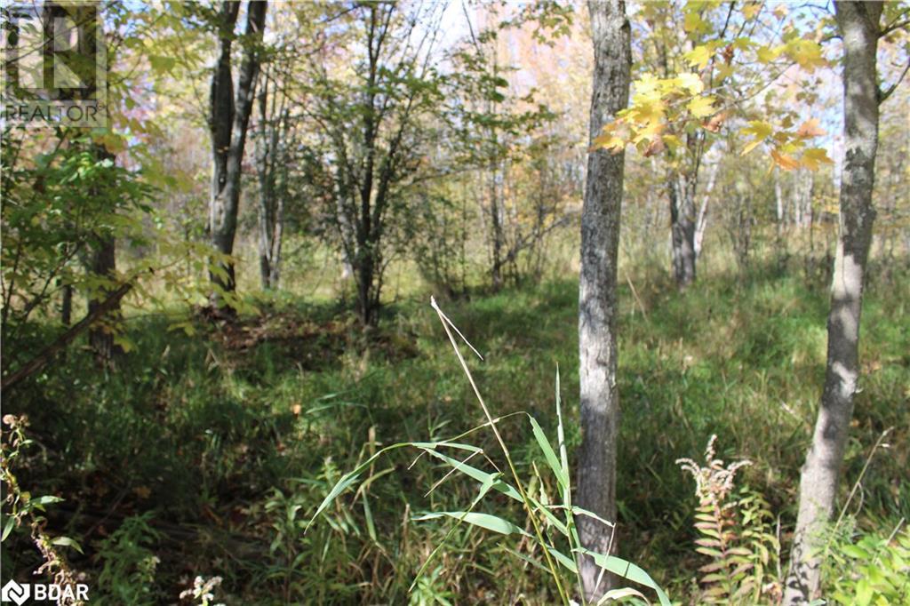 Photo 12 of 388 Woodland Drive, Oromedonte ON