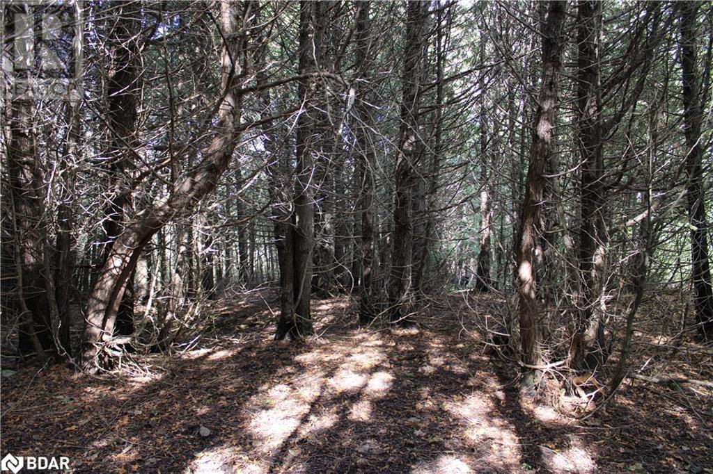 Photo 11 of 388 Woodland Drive, Oromedonte ON