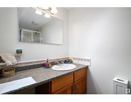 49229 Range Rd 263, Rural Leduc County, AB T0C0V0 Photo 40