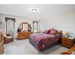 49229 Range Rd 263, Rural Leduc County, AB T0C0V0 Photo 30