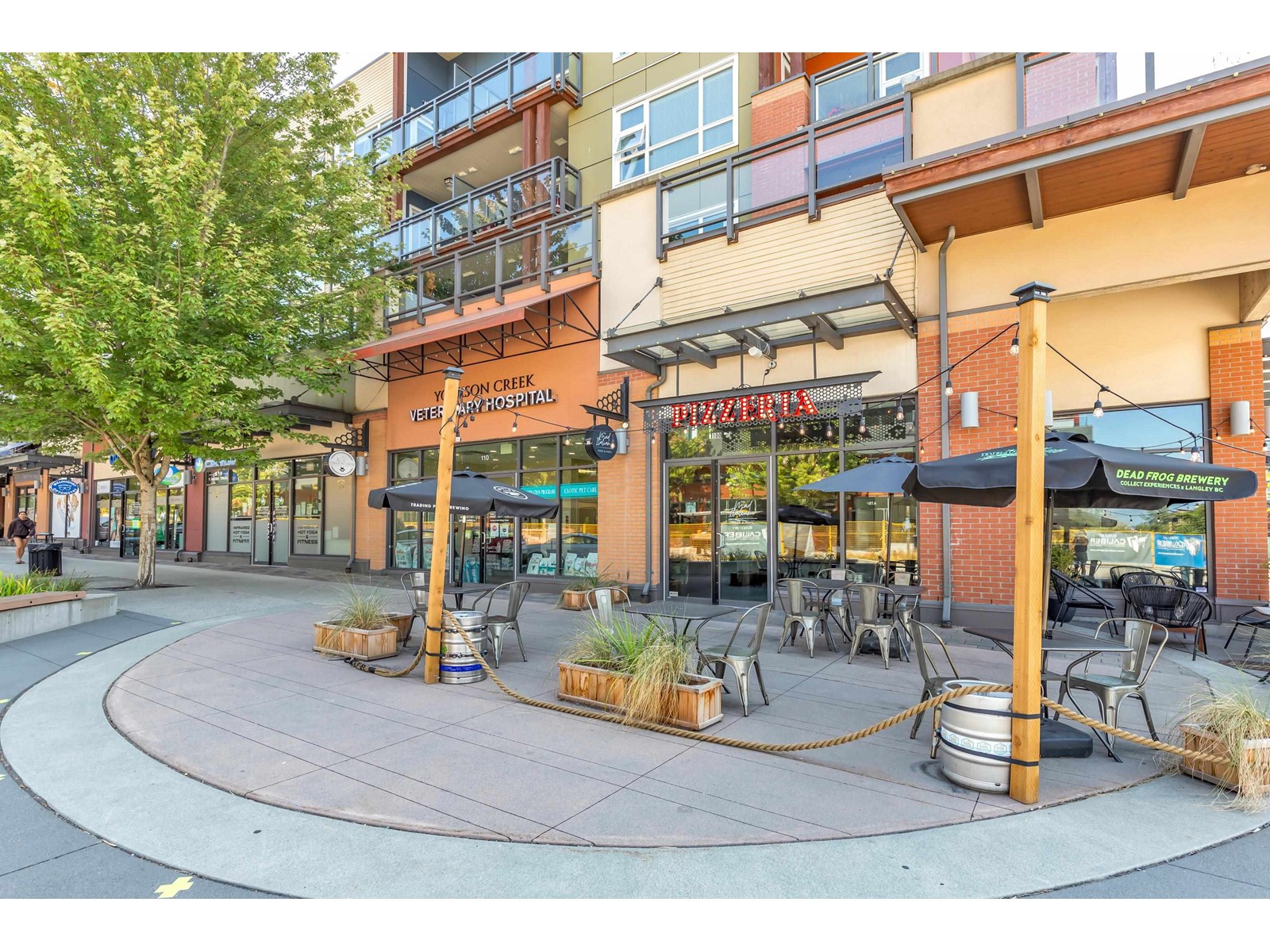 212 20728 WILLOUGHBY TOWN CENTRE DRIVE, Langley real estate listing R2995112