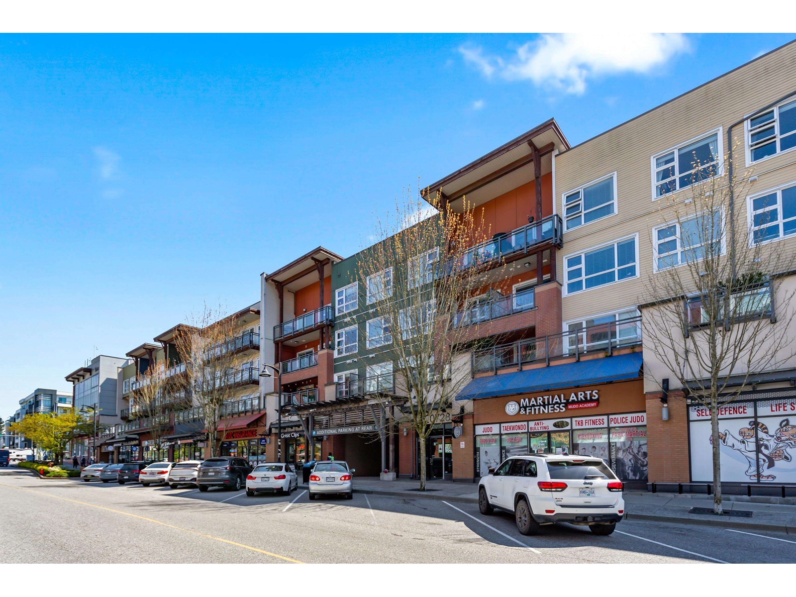 212 20728 WILLOUGHBY TOWN CENTRE DRIVE, Langley real estate listing R2995112