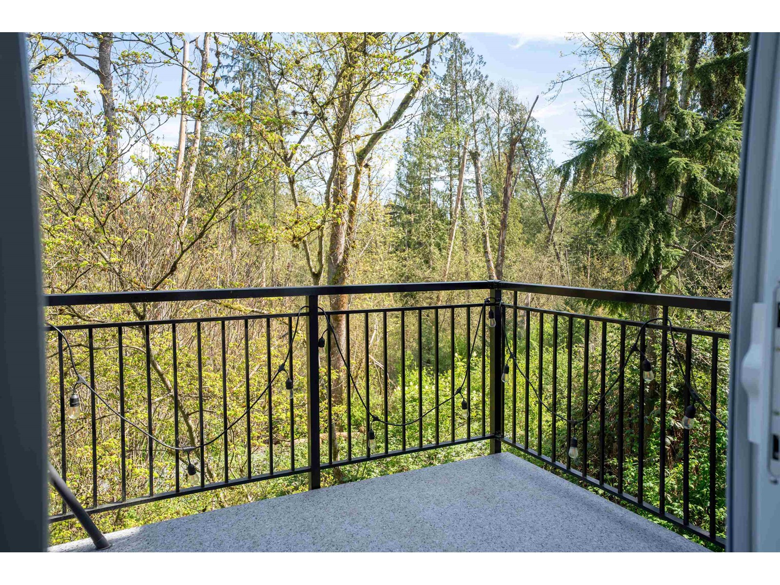 53 9688 162A STREET, Surrey real estate listing R2995215