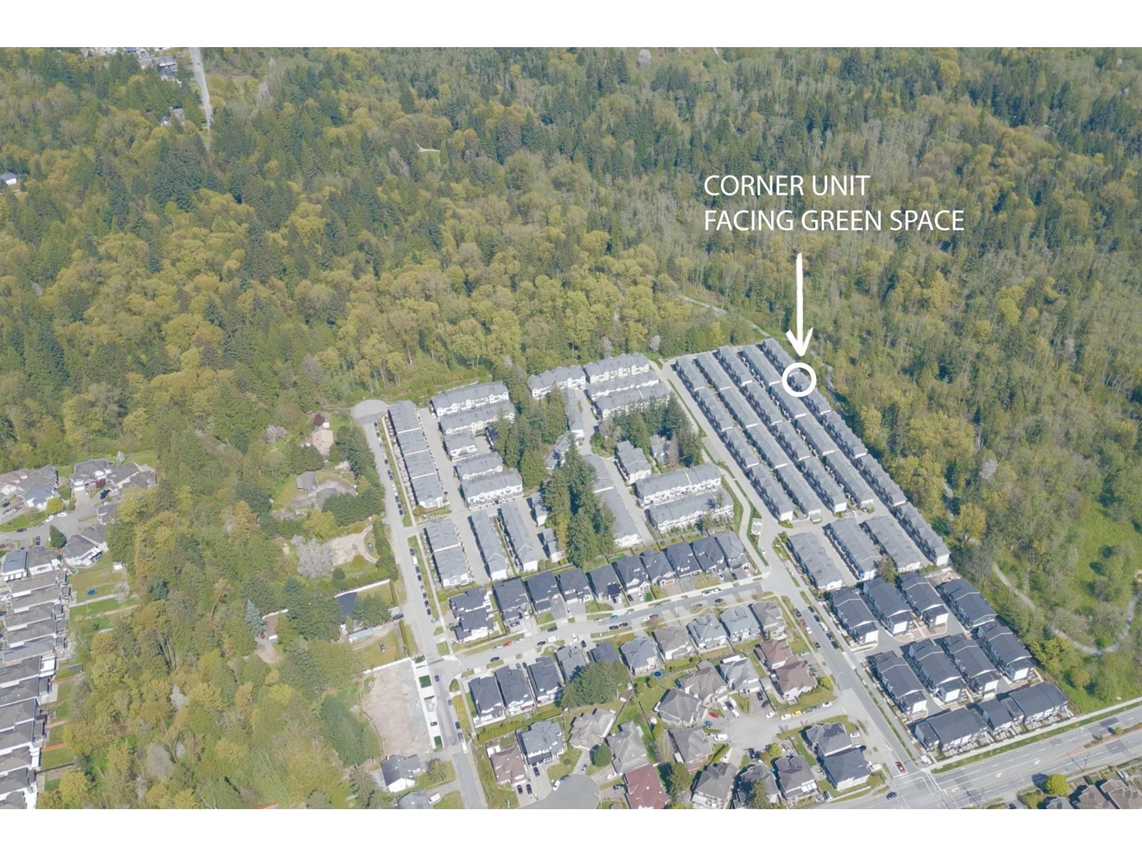 53 9688 162A STREET, Surrey real estate listing R2995215