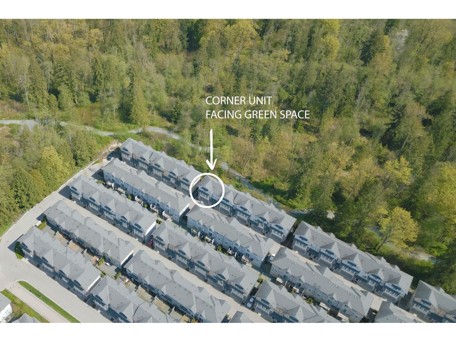 53 9688 162A STREET, Surrey real estate listing R2995215