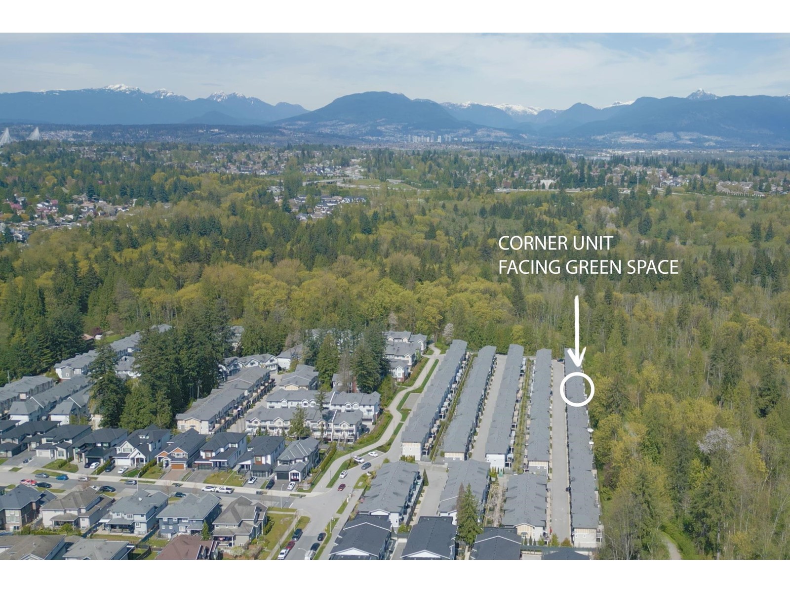 53 9688 162A STREET, Surrey real estate listing R2995215