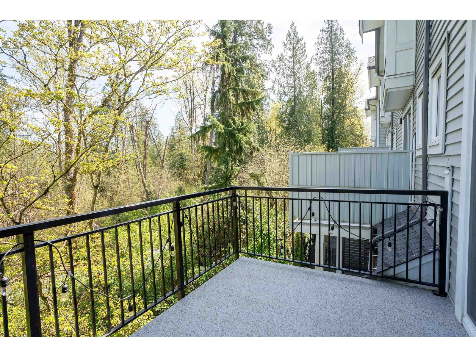53 9688 162A STREET, Surrey real estate listing R2995215