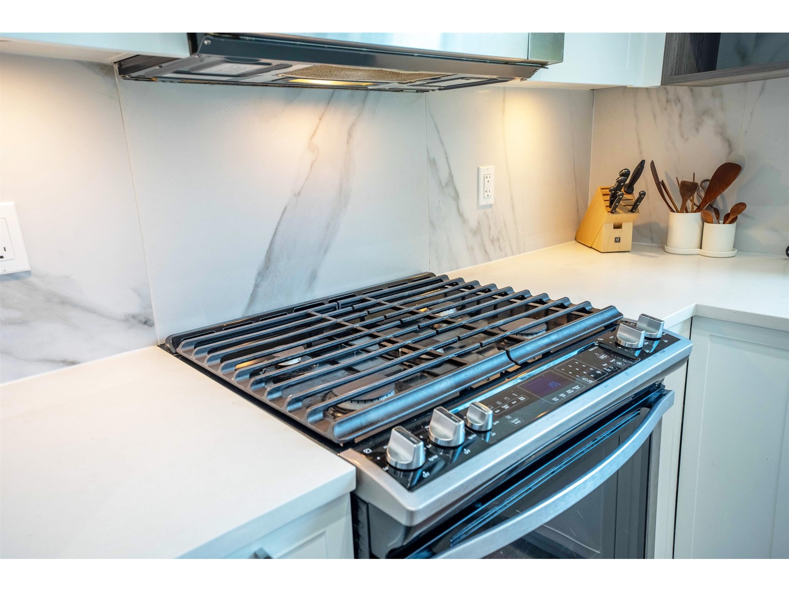 53 9688 162A STREET, Surrey real estate listing R2995215