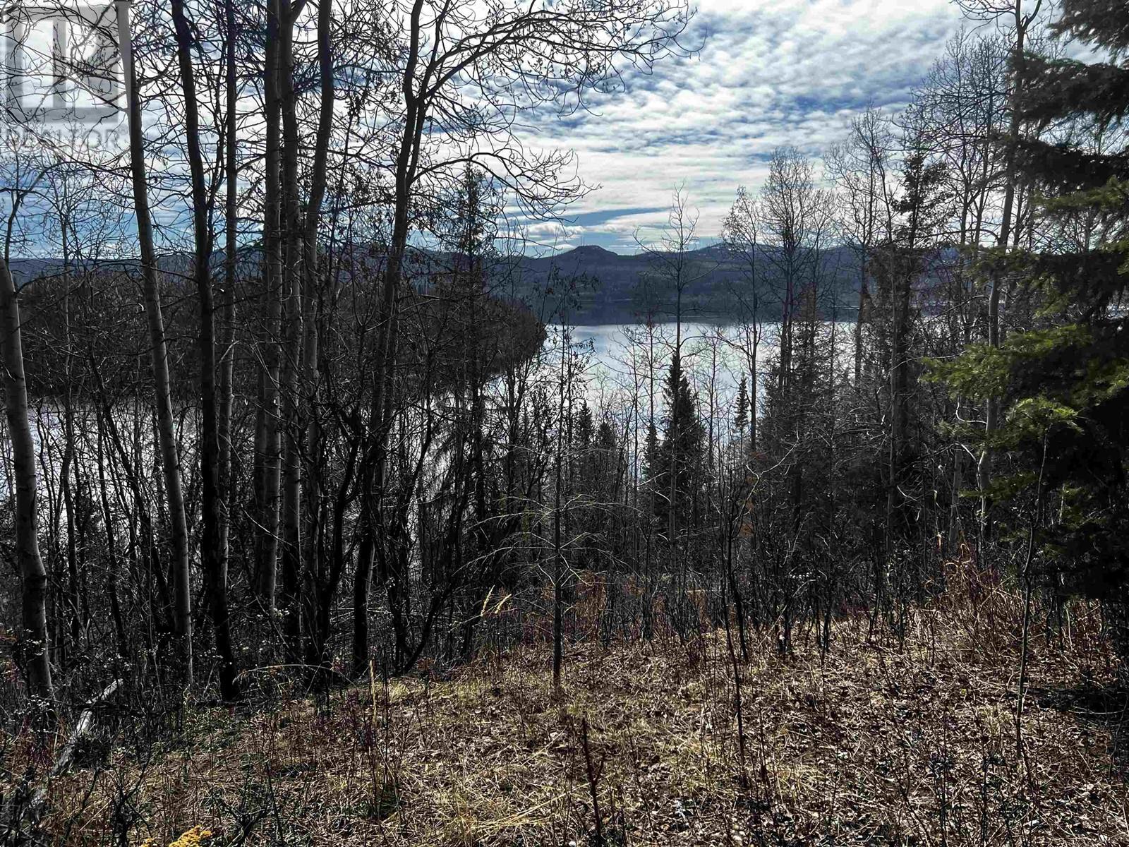 #BLK-1 COLLEYMOUNT Road, Burns Lake