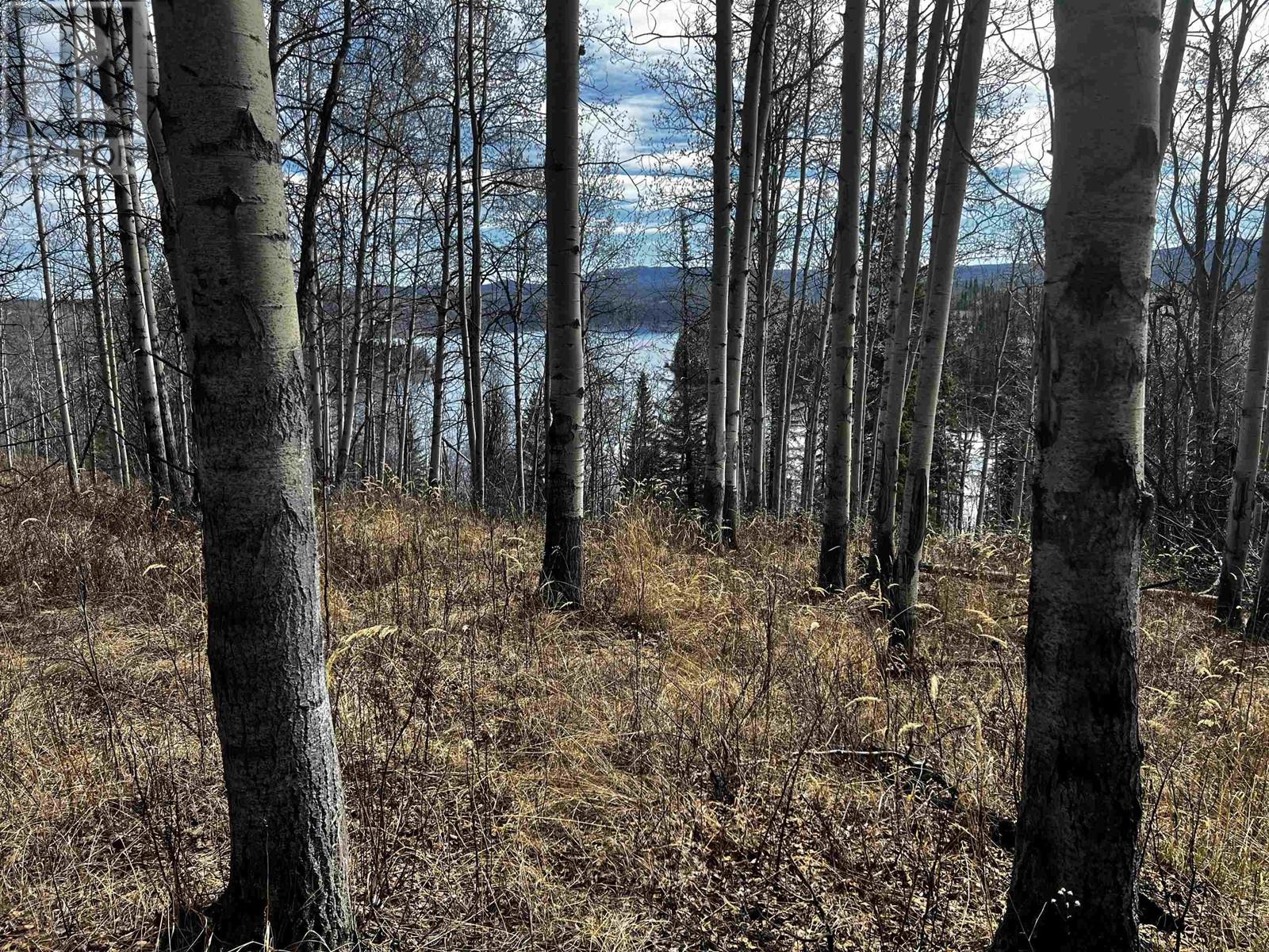 #BLK-1 COLLEYMOUNT Road, Burns Lake