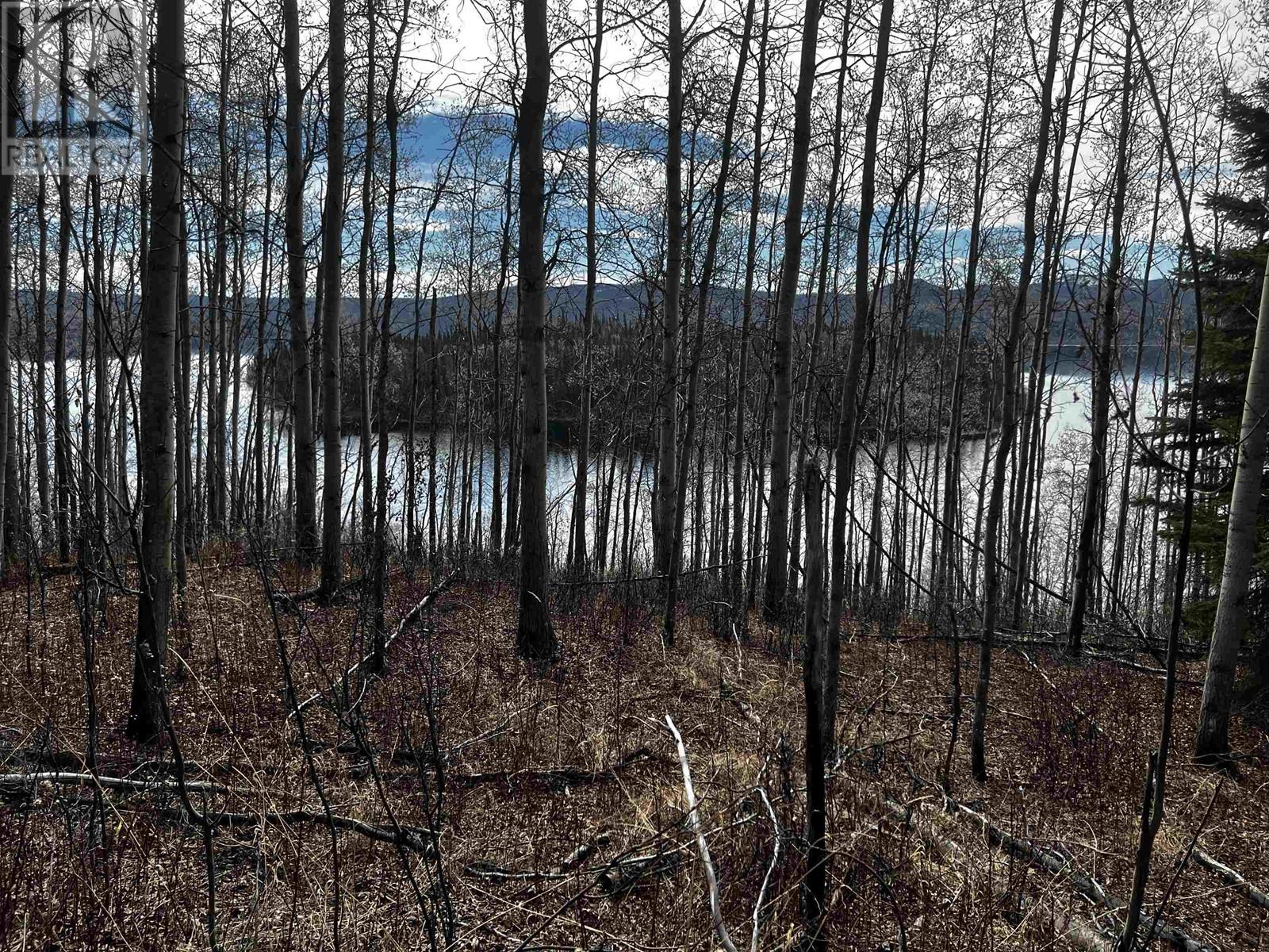 #BLK-1 COLLEYMOUNT Road, Burns Lake